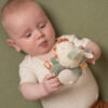 Ringrattle chicken Little Farm